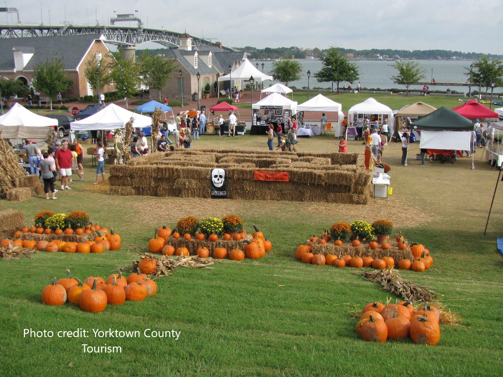 Yorktown Fall Festival 2024 Bab Carline